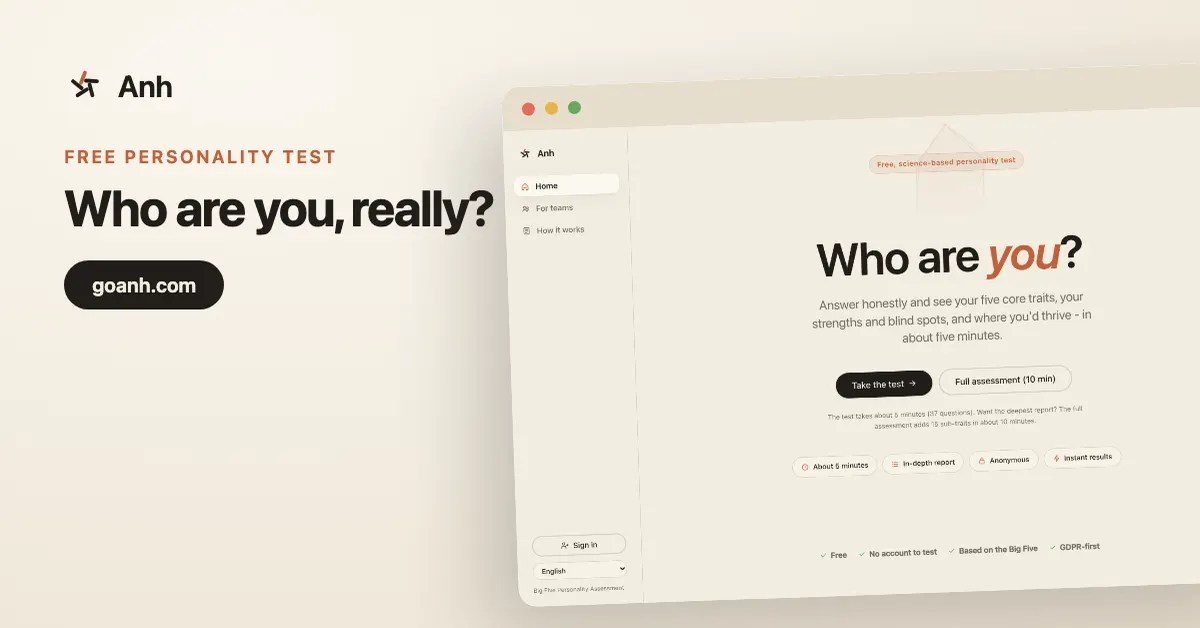 The Anh test landing screen on desktop